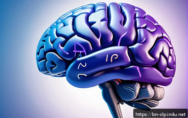 신경심리학 - A detailed, anatomically accurate digital illustration of the human brain highlighting the prefronta...