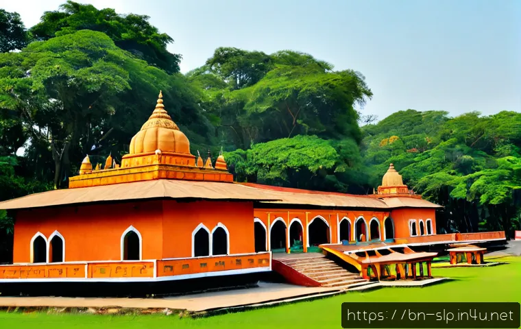 শ্রবণপ্রতিবন্ধী ব্যক্তির ভাষা থেরাপি: কখন প্রয়োজন, কীভাবে সেবা বাছাই করবেন ও খরচ বুঝবেন 4 청각장애인의 언어 치료 관련 이미지 2
